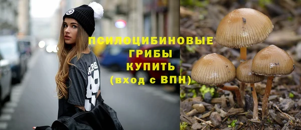 мдпв Заволжье