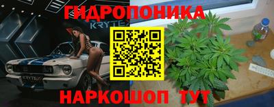 марки lsd Гусиноозёрск