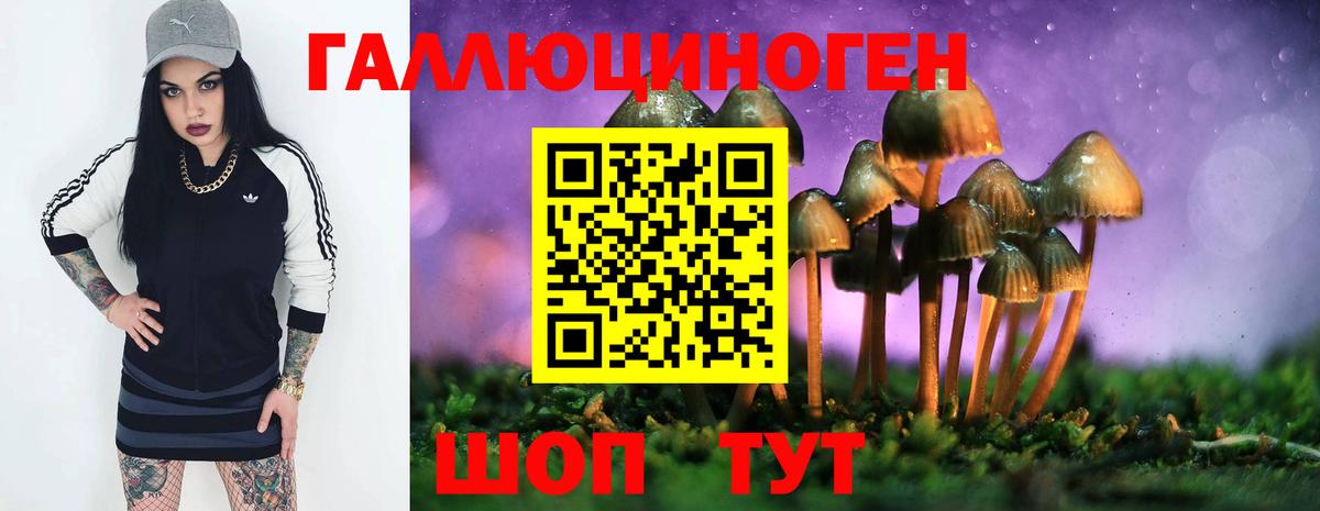 Псилоцибиновые грибы Cubensis Пыть-Ях